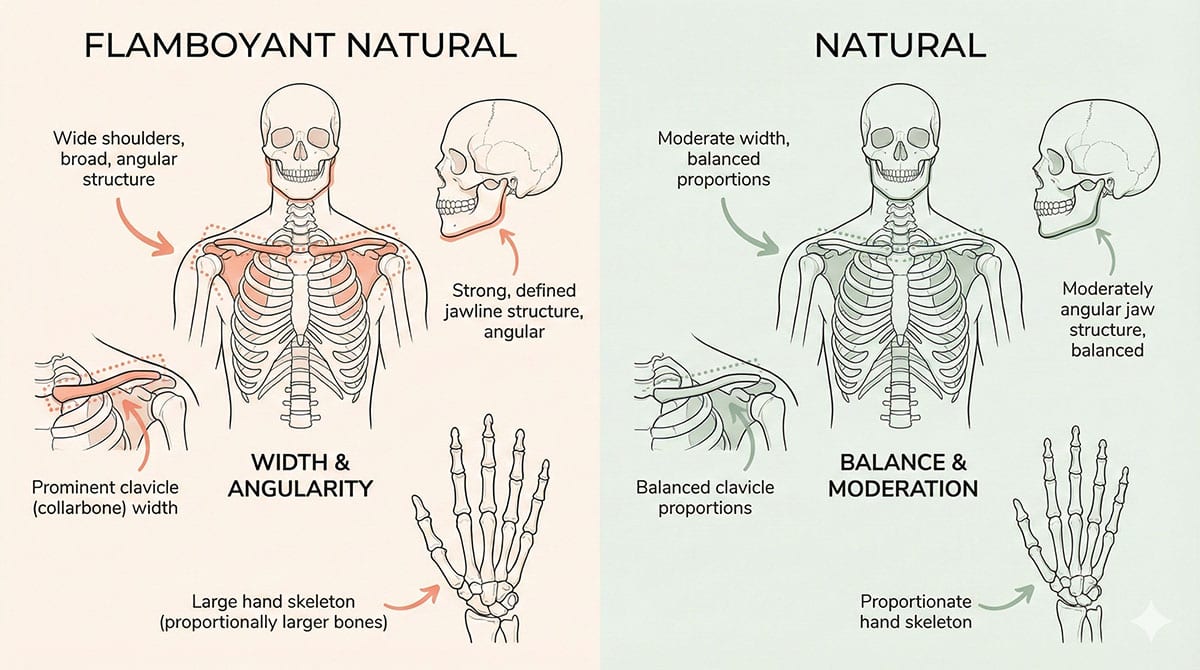 Bone structure comparison between Flamboyant Natural and Natural